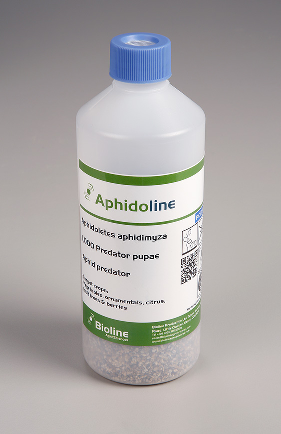 Aphidoline 1000 pupae /  Bottle - Biological Control